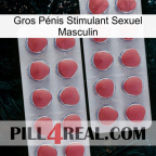 Gros Pénis Stimulant Sexuel Masculin 19